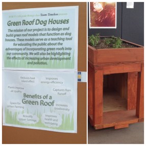 Green roof dog house project
